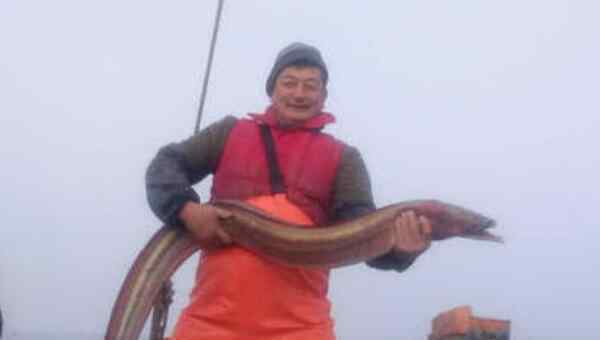 巨型黄鳝 世界最大的黄鳝 长1.5米重36斤