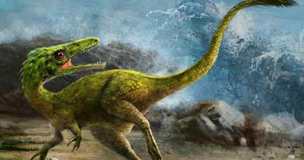 苍龙恐龙 关于恐龙的10个世界之最 沧龙最强大