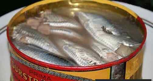 鲱鱼罐头有多臭 鳐鱼片跟鲱鱼罐头有多臭 