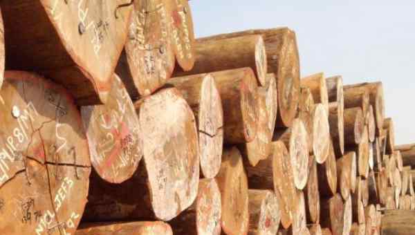 钢材的密度 世界最硬的木头:比钢铁还要硬上一倍