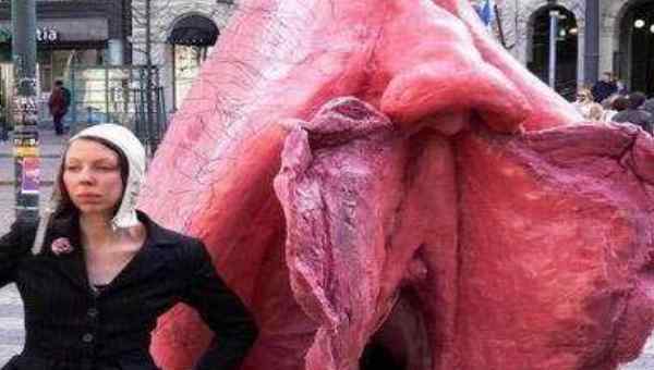 生殖器标本 世界上最大的女性生殖器:阴周48.26厘米